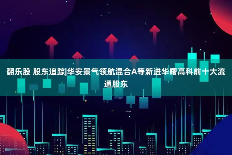 翻乐股 股东追踪|华安景气领航混合A等新进华曙高科前十大流通股东