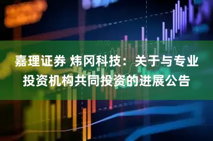 嘉理证券 炜冈科技：关于与专业投资机构共同投资的进展公告